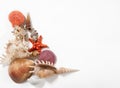 Stack of shells and starfishes Royalty Free Stock Photo
