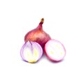 Stack slice fresh onion red isolated on the white background Royalty Free Stock Photo