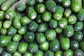 Stack of small cucumbers on a market stall Royalty Free Stock Photo