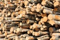 Stack of Logs Detail Royalty Free Stock Photo