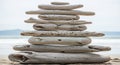 A stack of smooth, weathered driftwood Royalty Free Stock Photo