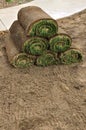 Stack of Sod Rolls Royalty Free Stock Photo