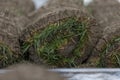 Stack of sod rolls for new lawn Royalty Free Stock Photo