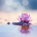 Panoramic still life for harmony in spa, massage or yoga. Royalty Free Stock Photo