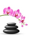 Stack of spa stones with orchid pink flowers isolated on white Royalty Free Stock Photo