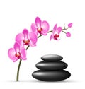 Stack of spa stones with orchid pink flowers on white Royalty Free Stock Photo