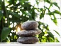 Stack Stone Balance Still on Blur Growth Leaves Tree Nature Background Pile Stone Pebble for Spa Massage Harmony Relax,Concept for Royalty Free Stock Photo