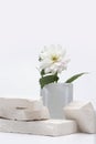 Stack stones platform podium and flower on gray light copy spase background. Minimal empty display product presentation scene
