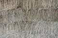 stack of straw in cattle farm, close up dried grass pile for use as fodder Royalty Free Stock Photo