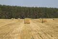 Stack of straw round shape on the field after harvesting crops Royalty Free Stock Photo