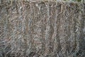 Stack of straw texture. Stack of hay dry grass. Stocks of feed for livestock Royalty Free Stock Photo