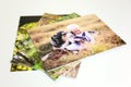 Stack of Styrene Mounted Family Portrait Prints on White Background