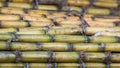 A stack of sugar cane exposing the texture of the stem