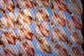 Stack of sundry squid on fishery net against clear blue sky