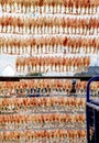 Stack of sundry squid on fishery net against clear blue sky