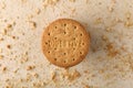 Stack of sweetmeal digestive biscuits closeup of a pile of biscuits on a texture background Royalty Free Stock Photo