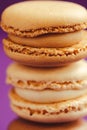 Stack of tasty macarons including vanilla, chocolate and coffee tea flavours. Royalty Free Stock Photo