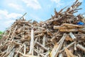 Stack of teak wood log Royalty Free Stock Photo