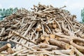 Stack of teak wood log