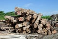 Stack of teak wood log