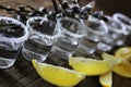 Stack of tequila with salt and lemon on a wooden background Royalty Free Stock Photo