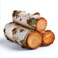 Stack of three birch logs with visible bark and wood grain Royalty Free Stock Photo