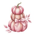 A stack of three pink pumpkins is adorned with a matching bow and delicate leaves Royalty Free Stock Photo