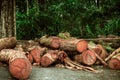 The stack timber  waiting for transform Royalty Free Stock Photo