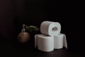 Stack of toilet paper rolls on black background Royalty Free Stock Photo