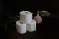 Stack of toilet paper rolls on black background Royalty Free Stock Photo