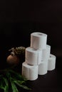 Stack of toilet paper rolls on black background Royalty Free Stock Photo