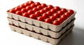 Stack of tomato trays filled with ripe red tomatoes Royalty Free Stock Photo