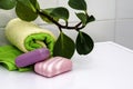 a stack of towels bars of soap and a houseplant on the bathroom table