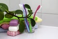 a stack of towels pieces of soap toothbrushes in a glass and a houseplant on the bathroom table