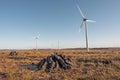 Stack of turf in a bog next to wind farm turbine. Clean new and dirty old source of energy. Natural and artificial product in Royalty Free Stock Photo