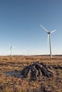 Stack of turf in a bog next to wind farm turbine. Clean new and dirty old source of energy. Natural and artificial product in Royalty Free Stock Photo