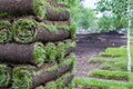 Stack of turf grass for lawn. Carpet of turf, roll of sod, turf grass roll. Installation of landscape and environment Royalty Free Stock Photo