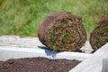 Stack of turf grass roll for lawn