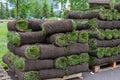 turf grass rolls for lawn. Carpet of turf, roll of sod for landscaping. Installation of modern landscape and environment Royalty Free Stock Photo