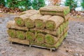 Stack of turf grass rolls for a lawn fresh grass to decorate landscape design Royalty Free Stock Photo