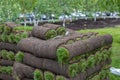 turf grass rolls for lawn. Carpet of turf, roll of sod for landscaping. Installation of modern landscape and environment