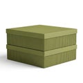 Stack of two green textured boxes on a white background Royalty Free Stock Photo