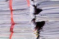 Stack of used paper and old document packed ready to be sent out for recycle Royalty Free Stock Photo