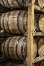 Stack of whisky in oak barrels Royalty Free Stock Photo