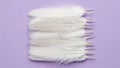 Stack of White Feathers on Purple Background Royalty Free Stock Photo