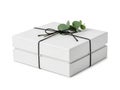 Stack of white gift boxes with black ribbon and eucalyptus leaves, isolated on white background isolated on white background Royalty Free Stock Photo