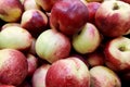 Stack of White nectarines on a market stall Royalty Free Stock Photo