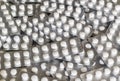 Stack of white pills in blister pack Royalty Free Stock Photo