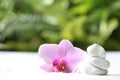 Stack of white stones and beautiful flower on sand against blurred background. Zen, meditation, harmony Royalty Free Stock Photo