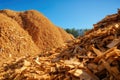 Stack of wood chips, a byproduct of timber milling. These shavings play a vital role as a renewable energy source, powering Royalty Free Stock Photo